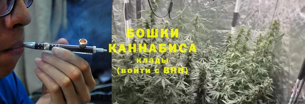 шишки Богданович