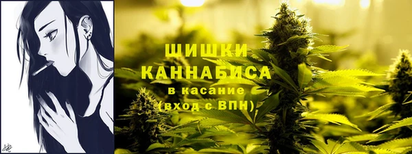 шишки Богданович