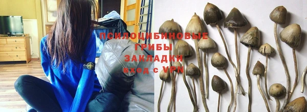 шишки Богданович