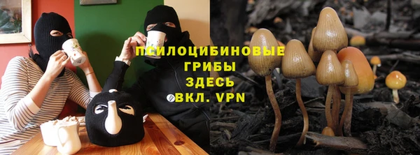 шишки Богданович