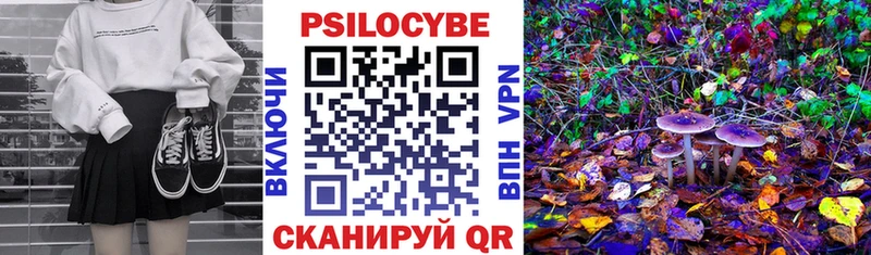 Купить закладки  Аргун  Псилоцибиновые грибы мухоморы 