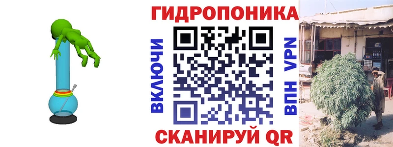МАРИХУАНА план  Купить где  Аргун 